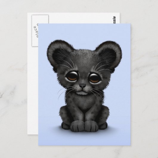 Niedlich Baby Black Panther Cub on Blue Postkarte (Vorne/Hinten)