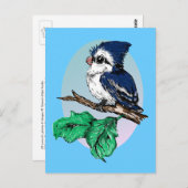 Niedlich Baby Bluejay Postcard Postkarte (Vorne/Hinten)