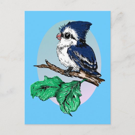 Niedlich Baby Bluejay Postcard Postkarte (Vorderseite)