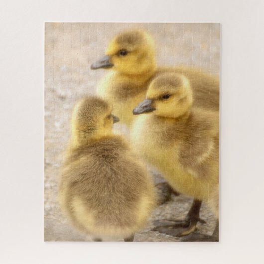 Niedlich Baby Canada Geese Soft Bird Nature Puzzle (Vertikal)