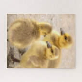 Niedlich Baby Canada Geese Soft Bird Nature Puzzle (Horizontal)