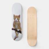 Niedlich Baby Cat Kitten Funny Gym Foto - Skateboard (Vorderseite)