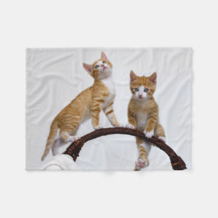 Niedlich Baby Cats Kittens Funny Gym Foto - Fleecedecke