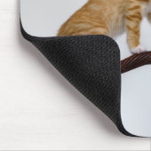 Niedlich Baby Cats Kittens Funny Gym Foto Mousepad (Ecke)