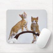 Niedlich Baby Cats Kittens Funny Gym Foto Mousepad (Mit Mouse)