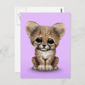 Niedlich Baby Cheetah Cub auf Lila Postkarte (Vorne/Hinten)