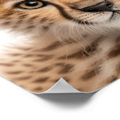 Niedlich Baby Cheetah Portrait | Platz 1:1 Poster (Ecke)