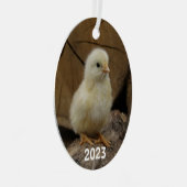 Niedlich Baby Chick Ornament Aus Metall (Vorderseite Rechts)