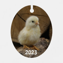 Niedlich Baby Chick Ornament Aus Metall