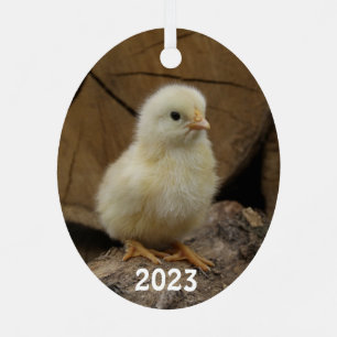 Niedlich Baby Chick Ornament Aus Metall