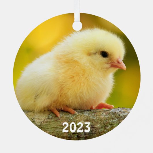 Niedlich Baby Chick Ornament Aus Metall (Rückseite)
