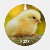 Niedlich Baby Chick Ornament Aus Metall (Vorderseite)