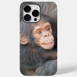Niedlich Baby Chimpanzee Foto Case-Mate iPhone 14 Pro Max Hülle