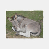 Niedlich Baby Donkey Foal Fleecedecke (Vorderseite (Horizontal))