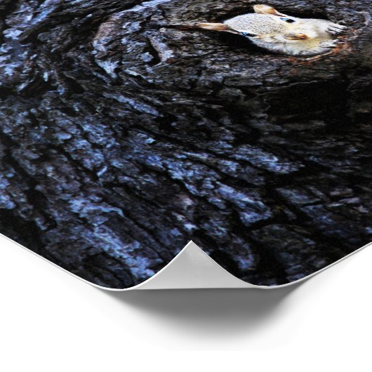 Niedlich Baby Eichhörnchen Natur Naturfotografie Poster (Ecke)