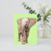 Niedlich Baby Elephant Postkarte (Stehend Vorderseite)