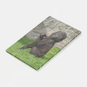 Niedlich Baby Gorilla Post-it Klebezettel (angewinkelt)