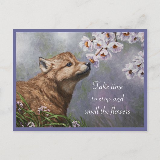 Niedlich Baby Gray Wolf Pup und Blume Postkarte (Vorderseite)