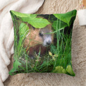 Niedlich Baby Groundhog Marmotte Murmeltier Kissen (Decke)