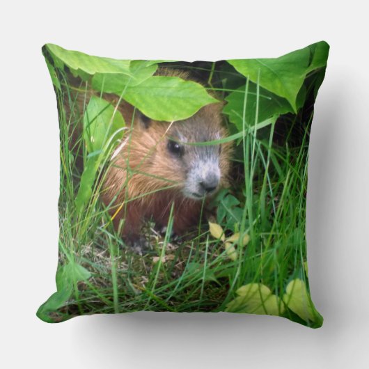 Niedlich Baby Groundhog Marmotte Murmeltier Kissen (Vorderseite)