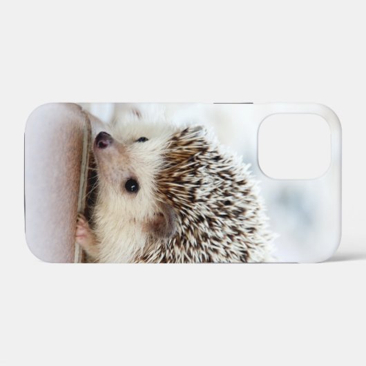 Niedlich Baby Igel Case-Mate iPhone Case (Rückseite (Horizontal))