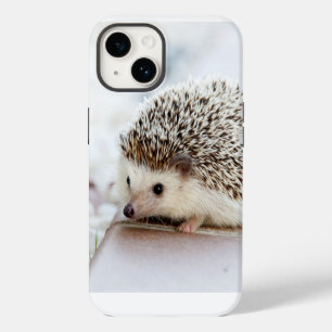 Niedlich Baby Igel Foto iPhone 14 Hülle