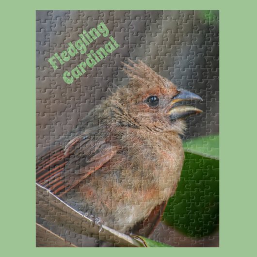 Niedlich Baby Kardinal Bird Fotografie-Natur Puzzle