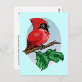 Niedlich Baby Kardinal Postkarte (Vorne/Hinten)