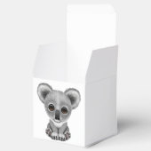 Niedlich Baby Koala Bear Cub Geschenkschachtel (Geöffnet)