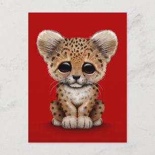 Niedlich Baby Leopard Cub on Red Postkarte