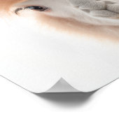 Niedlich Baby Llama Portrait (Alpaca) | 1:1 Poster (Ecke)