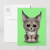Niedlich Baby Lynx Cub auf Green Postkarte (Vorne/Hinten)