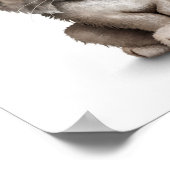 Niedlich Baby Lynx Cub auf White Poster (Ecke)