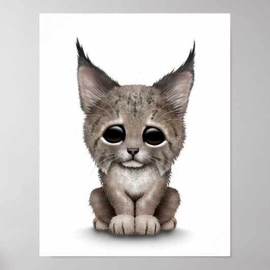 Niedlich Baby Lynx Cub auf White Poster (Vorne)