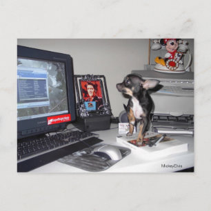 Niedlich Baby Mickey Elvis 1 Postkarte