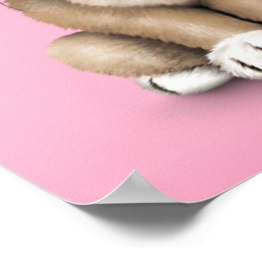 Niedlich Baby Mops Welpen Hund auf rosa Poster (Ecke)