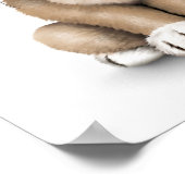 Niedlich Baby Mops Welpenhund auf Weiß Poster (Ecke)