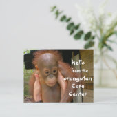 Niedlich Baby Orangutan Orphan Postkarte (Stehend Vorderseite)