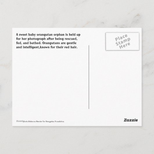 Niedlich Baby Orangutan Orphan Postkarte (Rückseite)