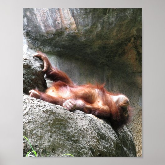 Niedlich Baby Orangutan Wohngestaltung Poster (Vorne)