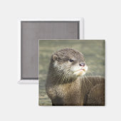 Niedlich Baby Otter Magnet (Vorderseite/Rückseite)