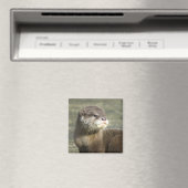 Niedlich Baby Otter Magnet (In Situ (Geschirrspüler))