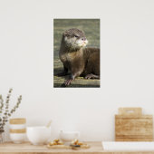 Niedlich Baby Otter Poster (Küche)