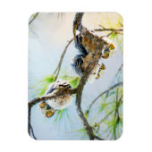 Niedlich Baby Owls Wildlife Fotografy Magnet (Vertikal)