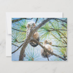 Niedlich Baby Owls Wildlife Fotografy Modern Mitteilungskarte