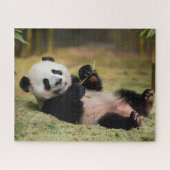 Niedlich Baby Panda Puzzle (Horizontal)