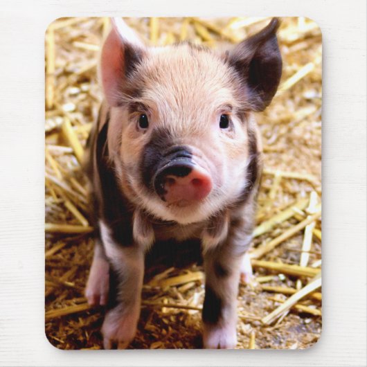 Niedlich Baby Pig Mousepad (Vorne)