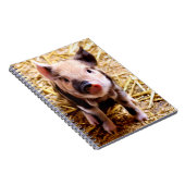 Niedlich Baby Pig Notizblock (Rechte Seite)