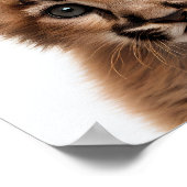 Niedlich Baby Puma Portrait | Platz 1:1 Poster (Ecke)