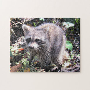 Niedlich Baby Raccoon Foraging Jigsaw Puzzle
